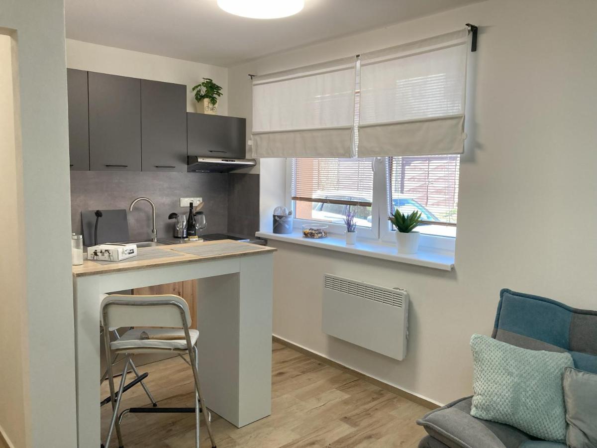 Apartment U Zuzy Velke Pavlovice